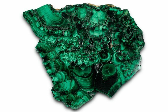 Flowery Polished Malachite Slab - DR Congo #350818